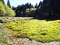 「神の庭」笹倉湿原（さぞうしつげん）