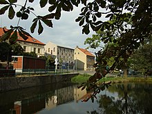 Jinočany, rybník II.JPG