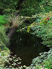 La Duche au pont de la RD 3, en limite de Montpon-Ménestérol et Le Pizou.