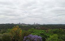 Johannesburg in December.jpg