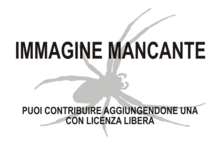 Immagine di Parattus mancante