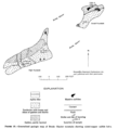 Brady Nunatak Nickel-Copper geologic map