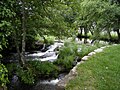 Río Narla en Friol