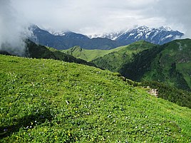 View of a Bugyal (meadow) in Uttarakhand