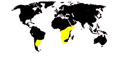 Mapa de distribuição de Hydnoraceae.