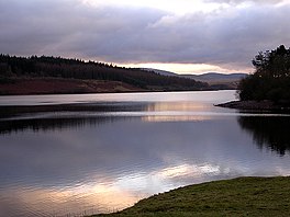 A sunset shot of a lake surrounded by trees