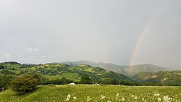 Lopătari – Veduta