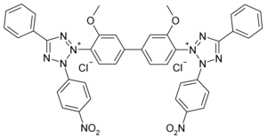 Strukturformel von Nitroblautetrazoliumchlorid