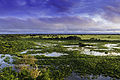 Image 11Pantanal in Brazil (from Swamp)