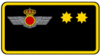 Teniente coronel