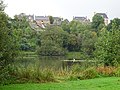 Le bras Est (celui de la Seiche) de l'étang de Marcillé-Robert, dominé par le bourg, vu depuis le lieu-dit "Le Rachat".