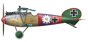 Albatros D.V, Jagdstaffel 5, voado por Paul Bäumer