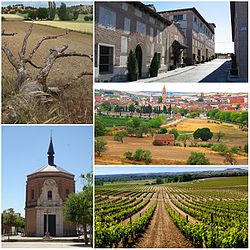 Skyline of Rueda (Valladolid)