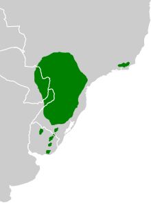 Paraguai iileksi looduslik levila