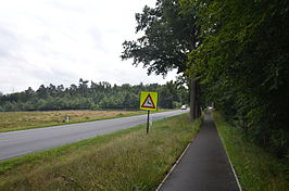 N304 nabij Apeldoorn.