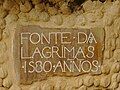 "Fonte das Lágrimas": nascente (detalhe).