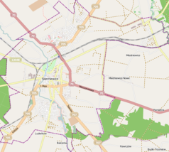 Mapa konturowa Skierniewic, po lewej znajduje się punkt z opisem „Instytut Ogrodnictwa”