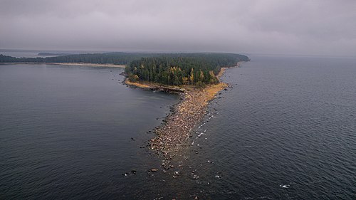 Lobi neem Lääne-Virumaal