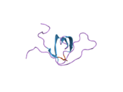 2eyx: C-Terminal SH3 domain of CT10-Regulated Kinase