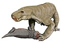 Sycosaurus