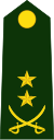 Lieutenant Colonel