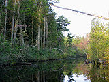 Mullica River