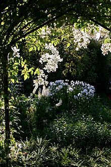 Sissinghurst white garden.jpg