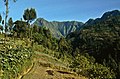 Cemoro Lawang (Tengger-NP)