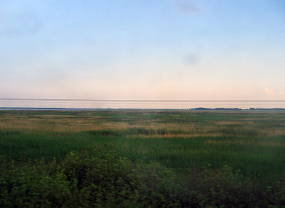 Barabinskaja lavland