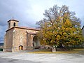 «Olmo de la Iglesia», en Alobras (Teruel).