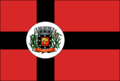 Bandeira de Sapopema