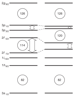 Diagram showing energy levels of known and predicted proton shells, with gaps at atomic number 82, 114, 120, and 126.