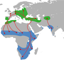 Mapa zobrazující Evropu a Afriku, na které jsou zakresleny šipky ve směru čapí migrace vesměs z Evropy do Afriky