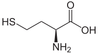 Structuurformule van L-homocysteïne