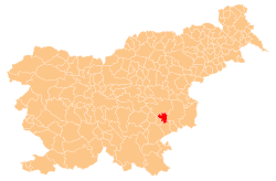 Location o the Municipality o Škocjan in Slovenie