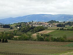 Skyline of Malras