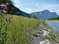 Uferlängsverbau und Naturwiese am Escherkanal.