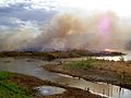 The use of slash-and-burn farming technique in Ceará, Brazil contributes to the already mass scale deforestation in the Amazonian forest.