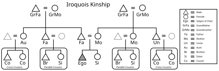 Graphic of the Iroquois kinship system