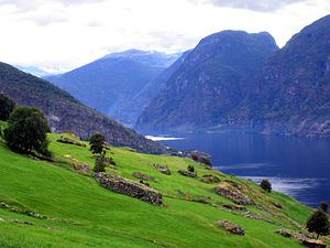 View from Aurland