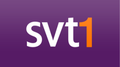 Logo de SVT1 du 25 août 2008