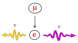 Henfald af en myon til en elektron og to neutrinoer