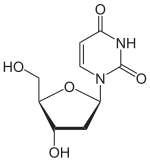 Skeletal formula of deoxyuridine