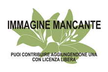 Immagine di Cloiselia mancante