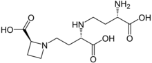 formule développée de la nicotianamine