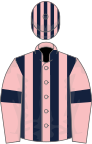 Pink and dark blue stripes, pink sleeves, dark blue armlets