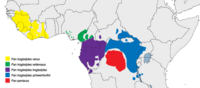 Msambao wa (nusu)spishi za sokwe mtu: nyekundu - P. paniscus, buluu - P. t. schweinfurthii, zambarau - P.t. troglodytes, kijani - P.t. vellerosus, njano - P.t. verus.