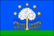 Vlag