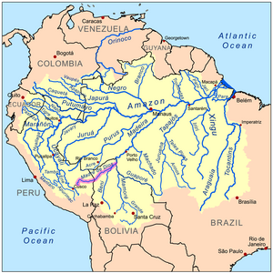 Mapa da bacia do Rio Amazonas. O Rio Madre de Dios está destacado em rosa