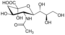 N-Acetylneuraminsäure in Sesselkonformation